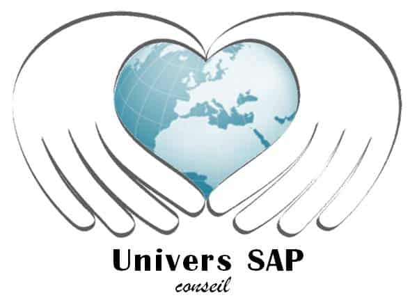 https://www.lcmg-consulting.com/wp-content/uploads/2023/02/univers-sap.jpg